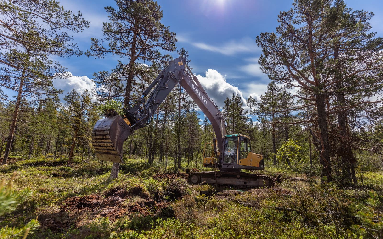 Maskin i skogen